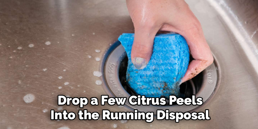 Drop a Few Citrus Peels
Into the Running Disposal