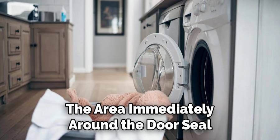 The Area Immediately
Around the Door Seal